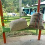Café Pergamino